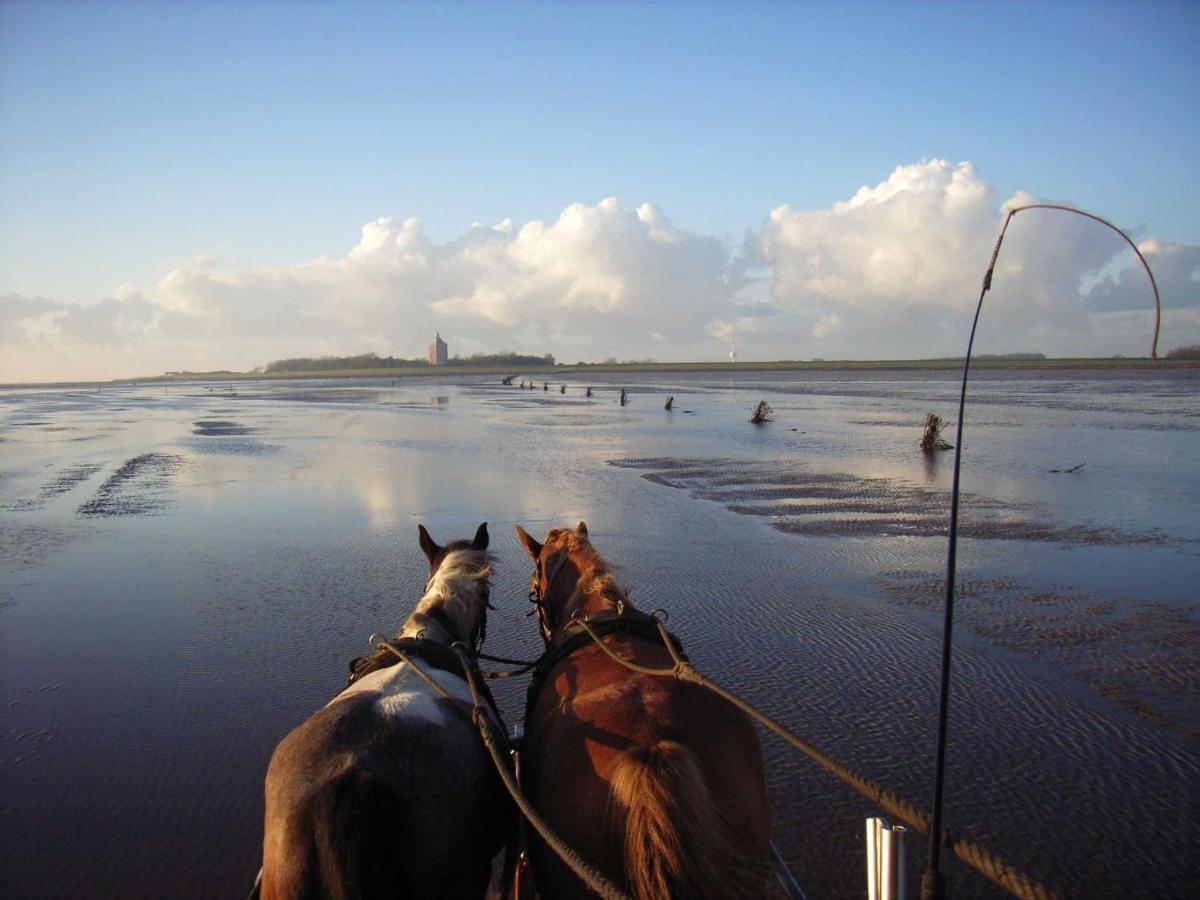 Residenz Jan Am Strand Cuxhaven Zewnętrze zdjęcie